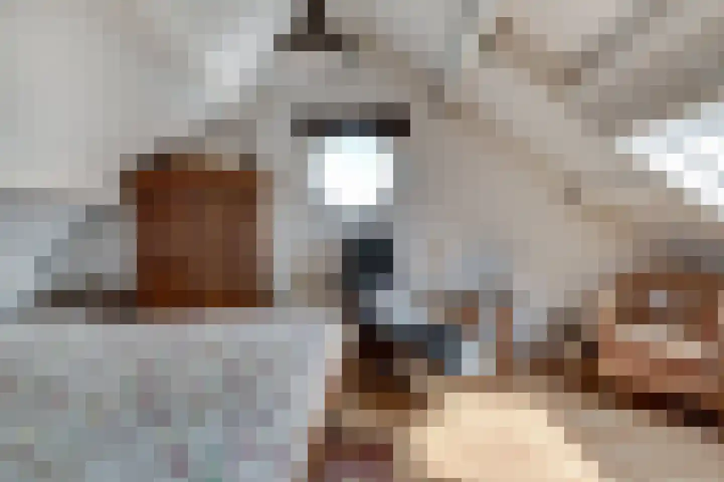 Onlandstraat 10 Lobith thumbnail 30