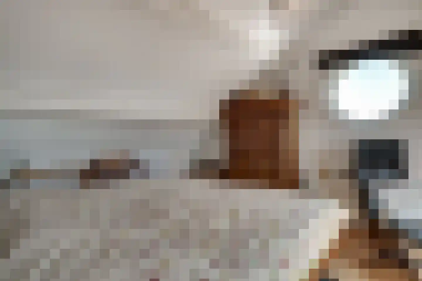 Onlandstraat 10 Lobith thumbnail 31