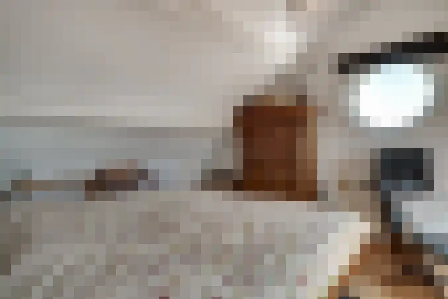 Onlandstraat 10 Lobith thumbnail 31