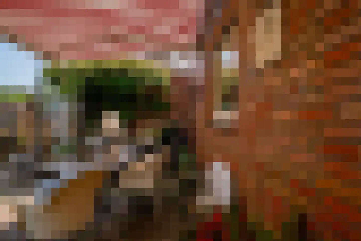 Onlandstraat 10 Lobith thumbnail 32