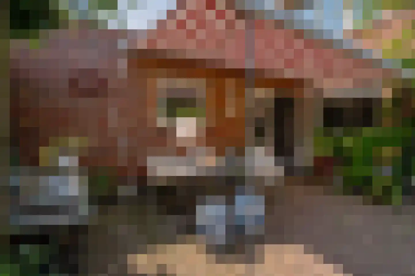 Onlandstraat 10 Lobith thumbnail 34