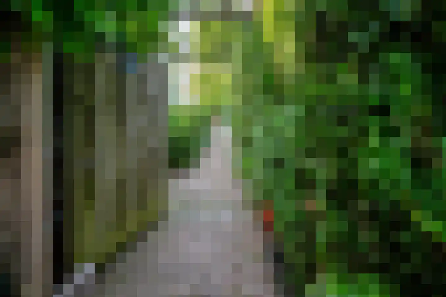 Onlandstraat 10 Lobith thumbnail 37
