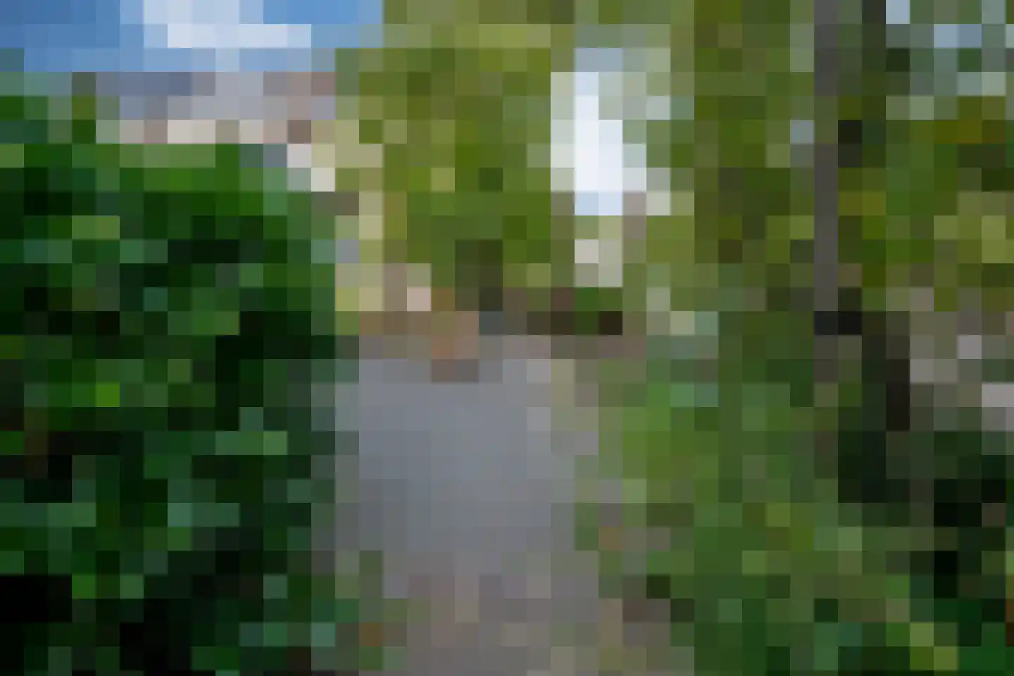 Onlandstraat 10 Lobith thumbnail 38