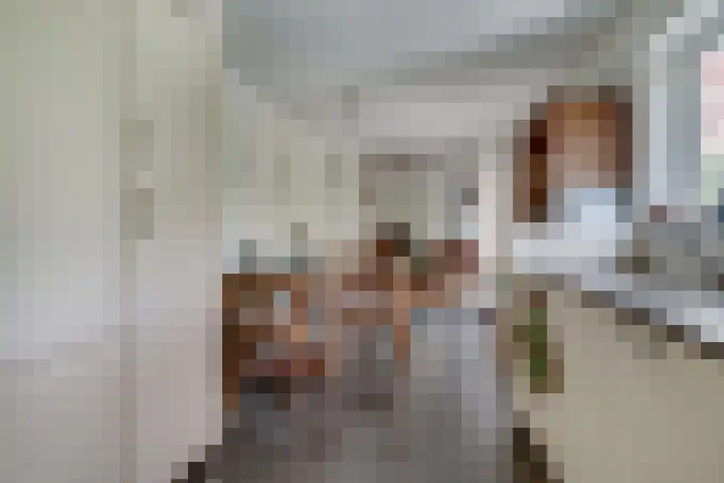 Onlandstraat 10 Lobith thumbnail 4