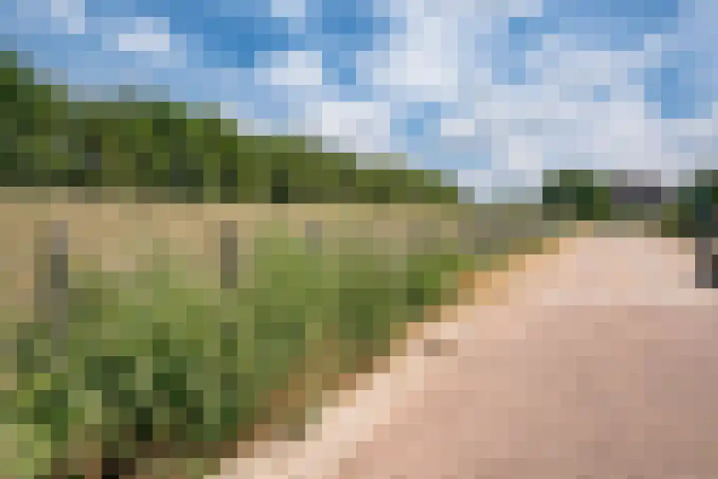 Onlandstraat 10 Lobith thumbnail 5