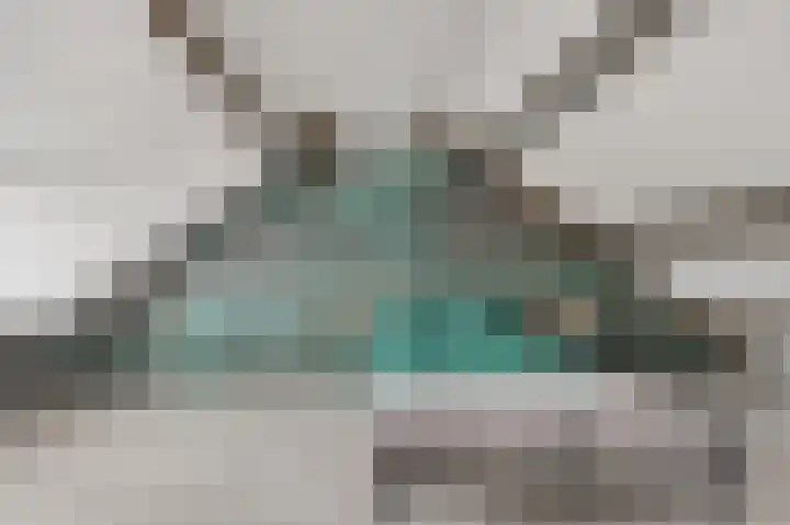 Onlandstraat 5 Lobith thumbnail 31