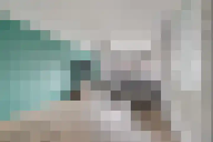Onlandstraat 5 Lobith thumbnail 8