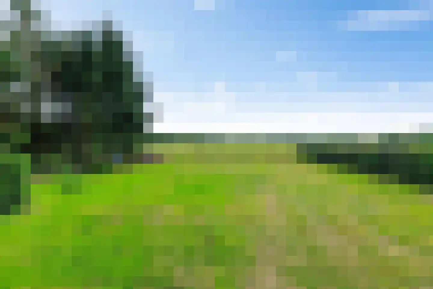 Onlandweg 2 Tynaarlo thumbnail 10