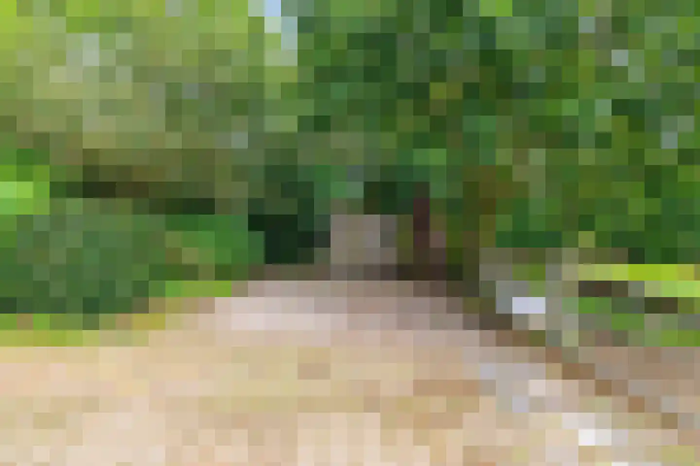 Onlandweg 2 Tynaarlo thumbnail 12