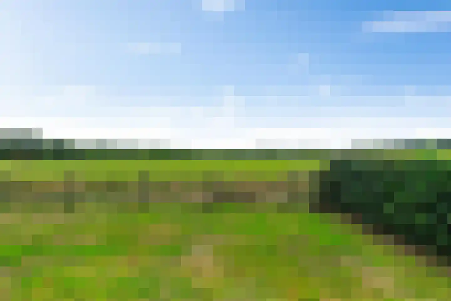 Onlandweg 2 Tynaarlo thumbnail 14