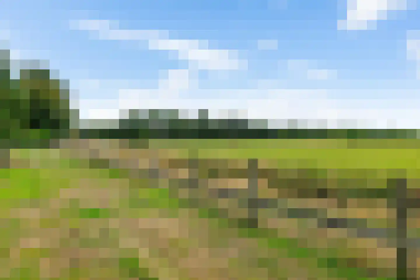 Onlandweg 2 Tynaarlo thumbnail 15