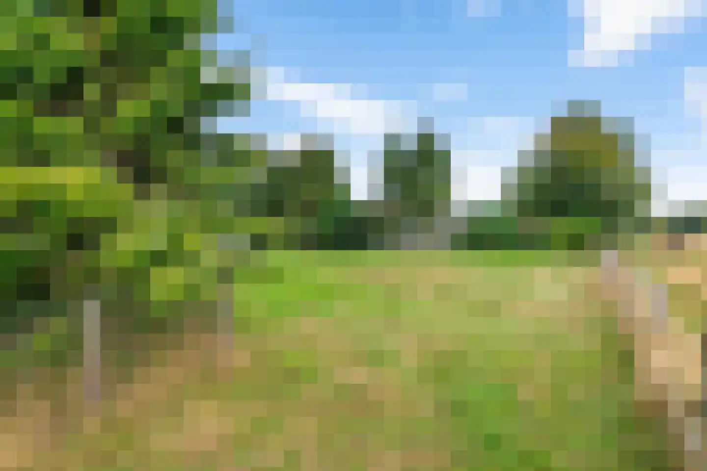 Onlandweg 2 Tynaarlo thumbnail 17