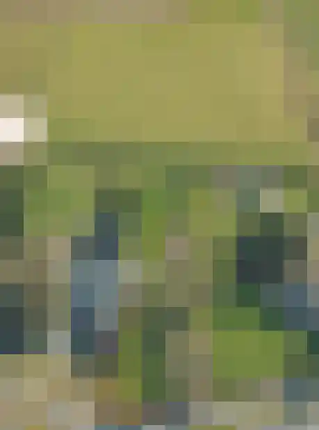 Onlandweg 2 Tynaarlo thumbnail 18