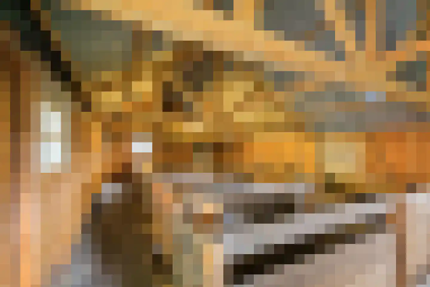 Onlandweg 2 Tynaarlo thumbnail 21