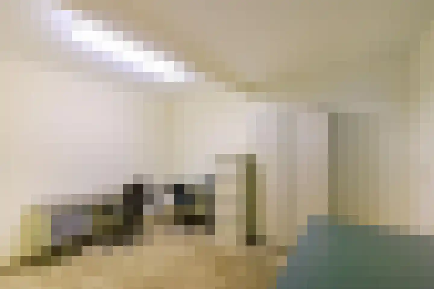 Onlandweg 2 Tynaarlo thumbnail 37