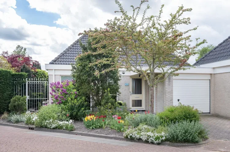 Online Woningbrochure pour https://dwergvinvis28.nl