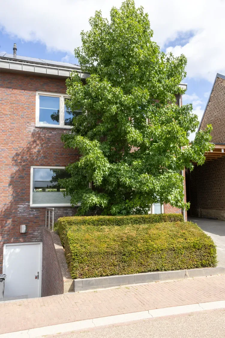Online Woningbrochure voor https://dorpsstraat8.nl