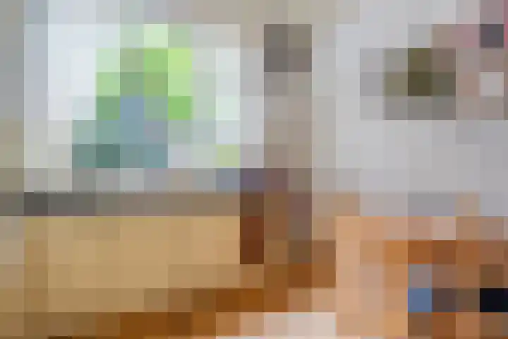 Onnastraat 16 Steenwijk thumbnail 7