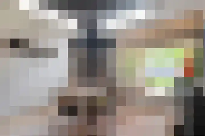 Onnastraat 28 Steenwijk thumbnail 12
