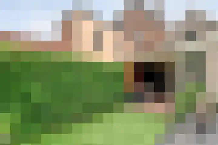 Onnastraat 28 Steenwijk thumbnail 21