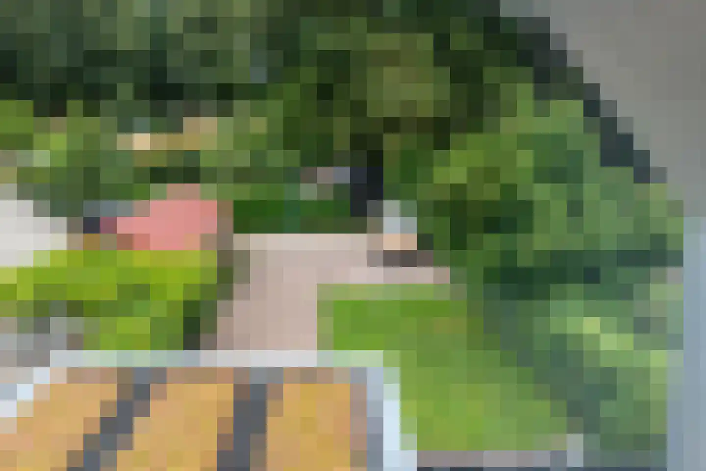 Onnastraat 30 Steenwijk thumbnail 47