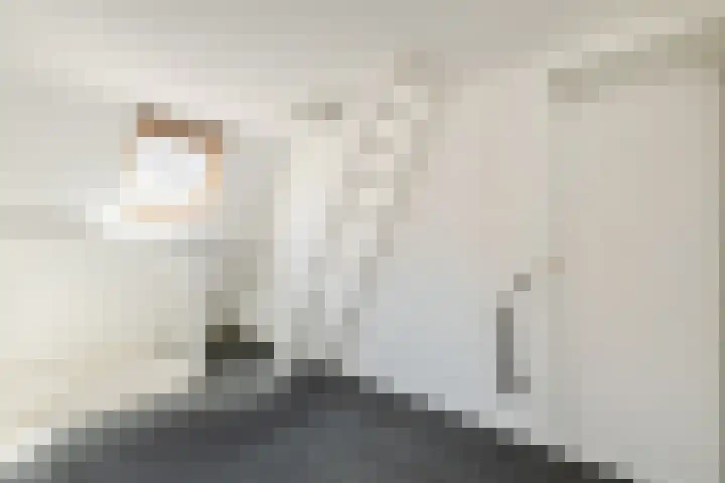 Onnastraat 36 Steenwijk thumbnail 24