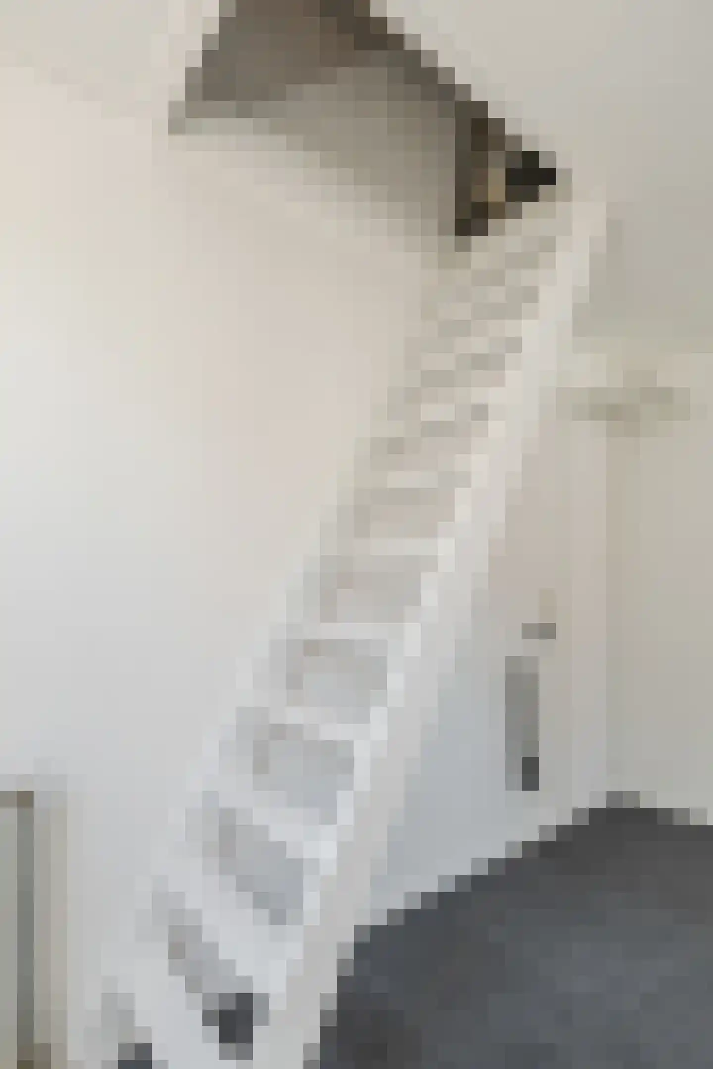 Onnastraat 36 Steenwijk thumbnail 26