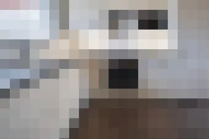 Onnemaheerd 132 Groningen thumbnail 15