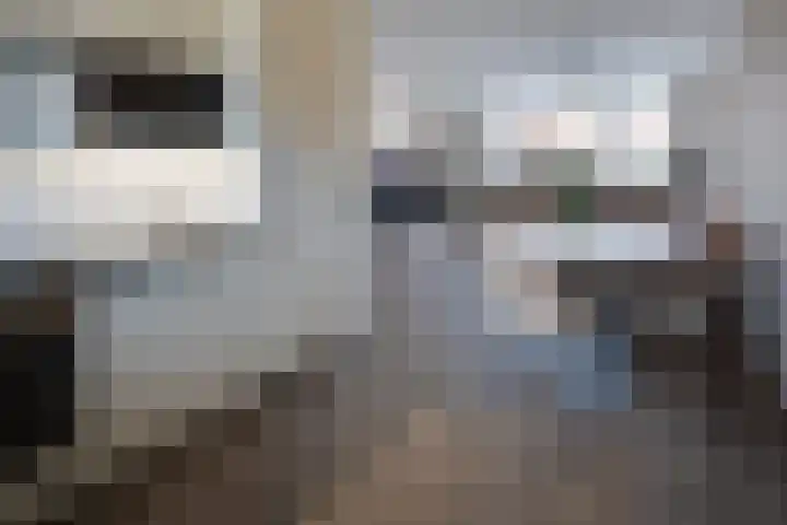 Onnemaheerd 132 Groningen thumbnail 16