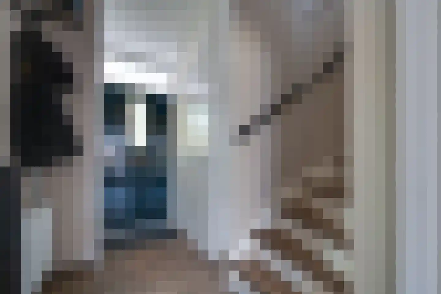 Onnemaheerd 132 Groningen thumbnail 29
