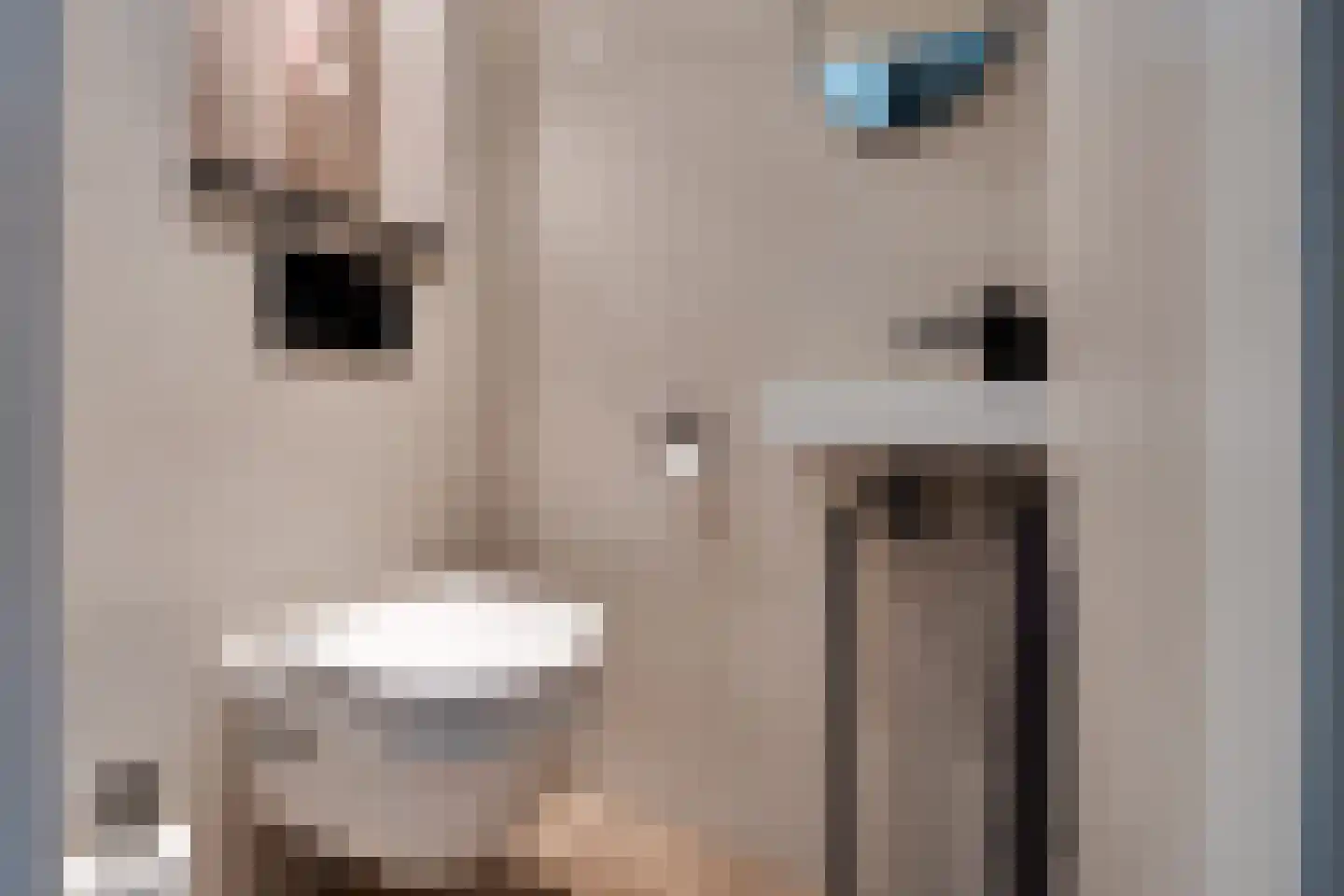 Onnemaheerd 132 Groningen thumbnail 30