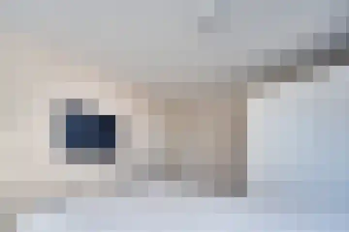 Onnemaheerd 132 Groningen thumbnail 37