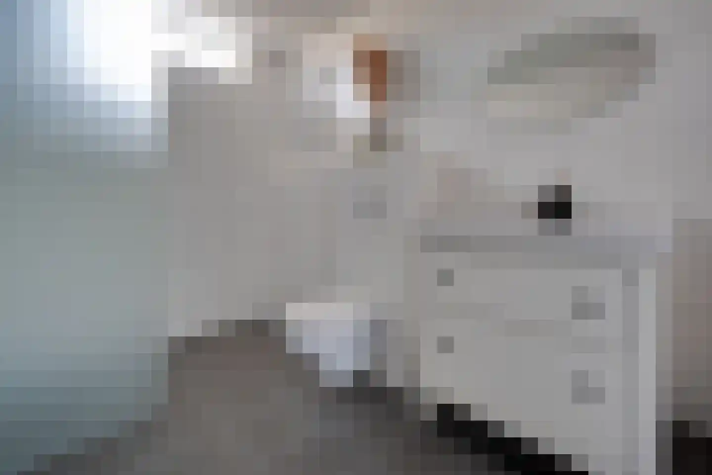 Onnemaheerd 132 Groningen thumbnail 38