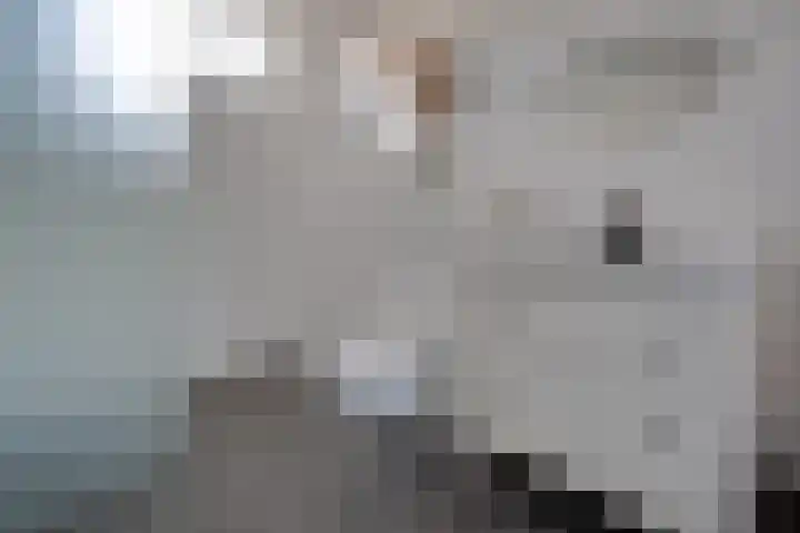 Onnemaheerd 132 Groningen thumbnail 38