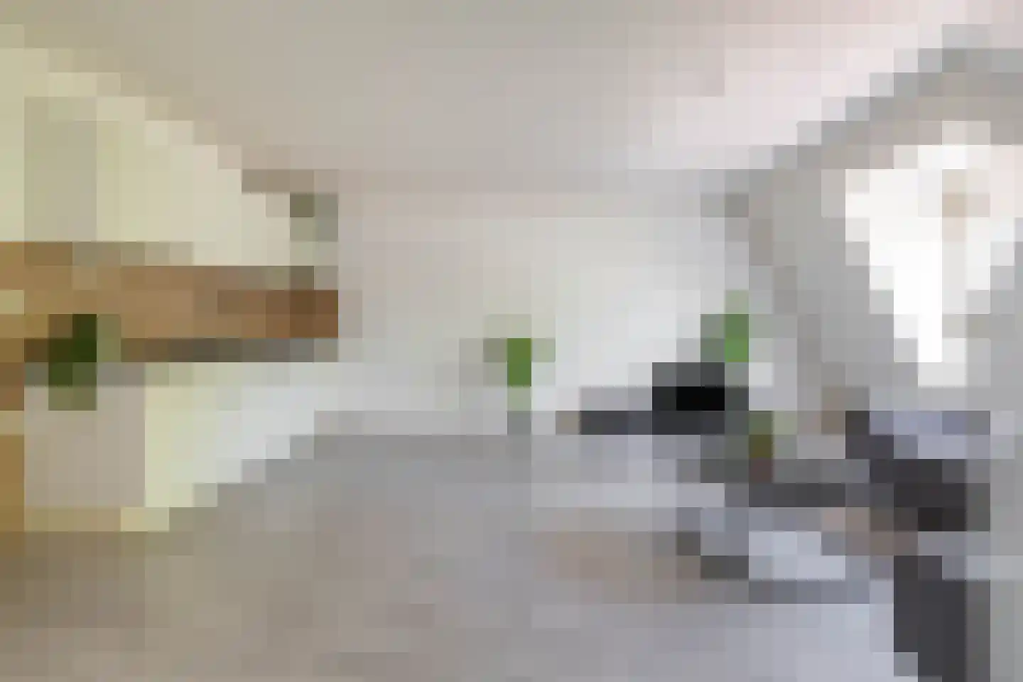 Onnemaheerd 144 Groningen thumbnail 5