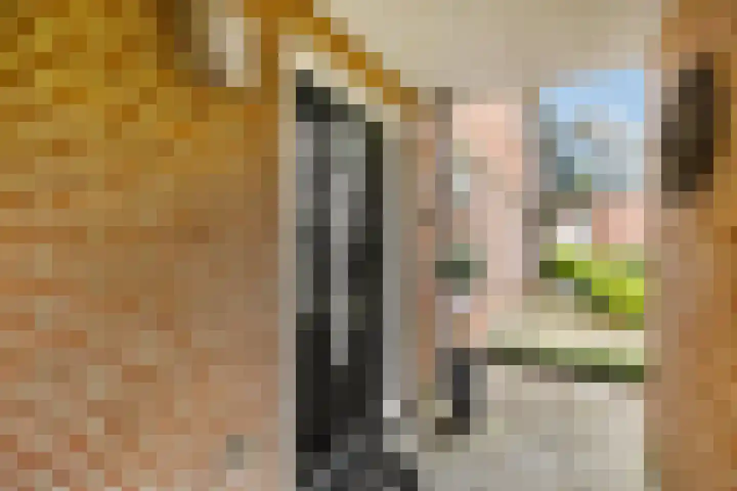 Onnemaheerd 145 Groningen thumbnail 10