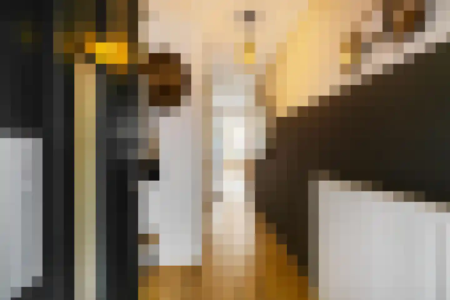 Onnemaheerd 145 Groningen thumbnail 12