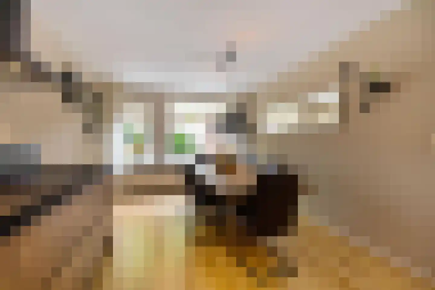 Onnemaheerd 145 Groningen thumbnail 14