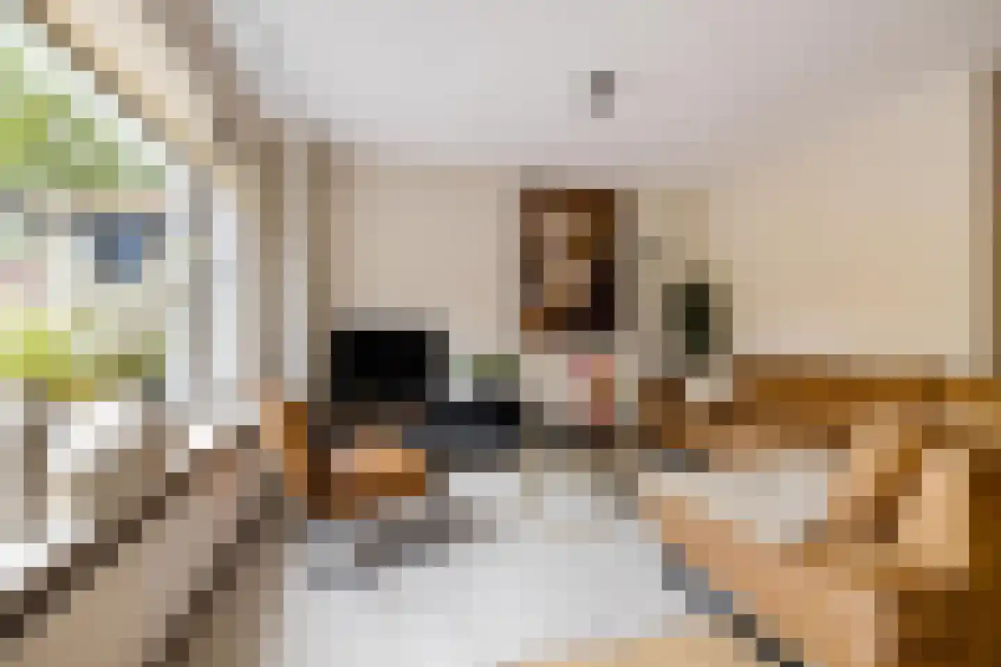 Onnemaheerd 145 Groningen thumbnail 21