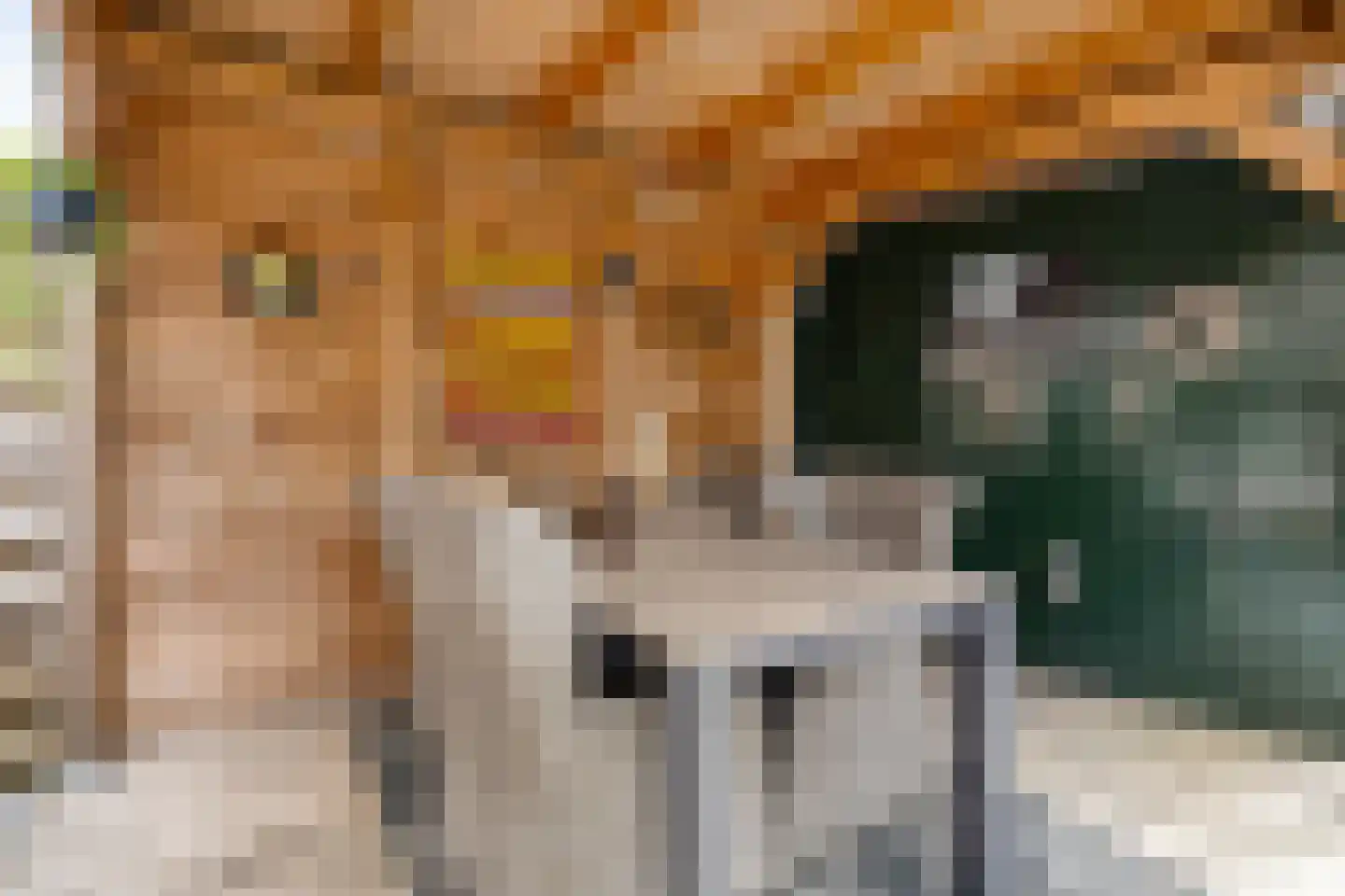 Onnemaheerd 145 Groningen thumbnail 24