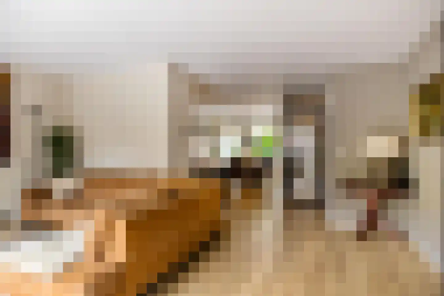 Onnemaheerd 145 Groningen thumbnail 30