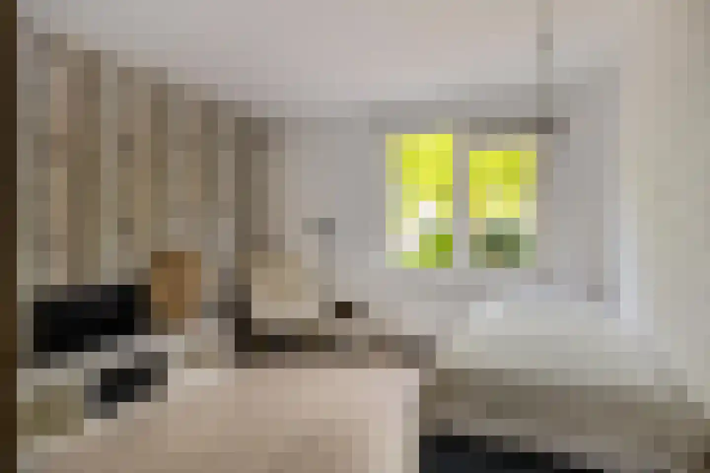 Onnemaheerd 145 Groningen thumbnail 38