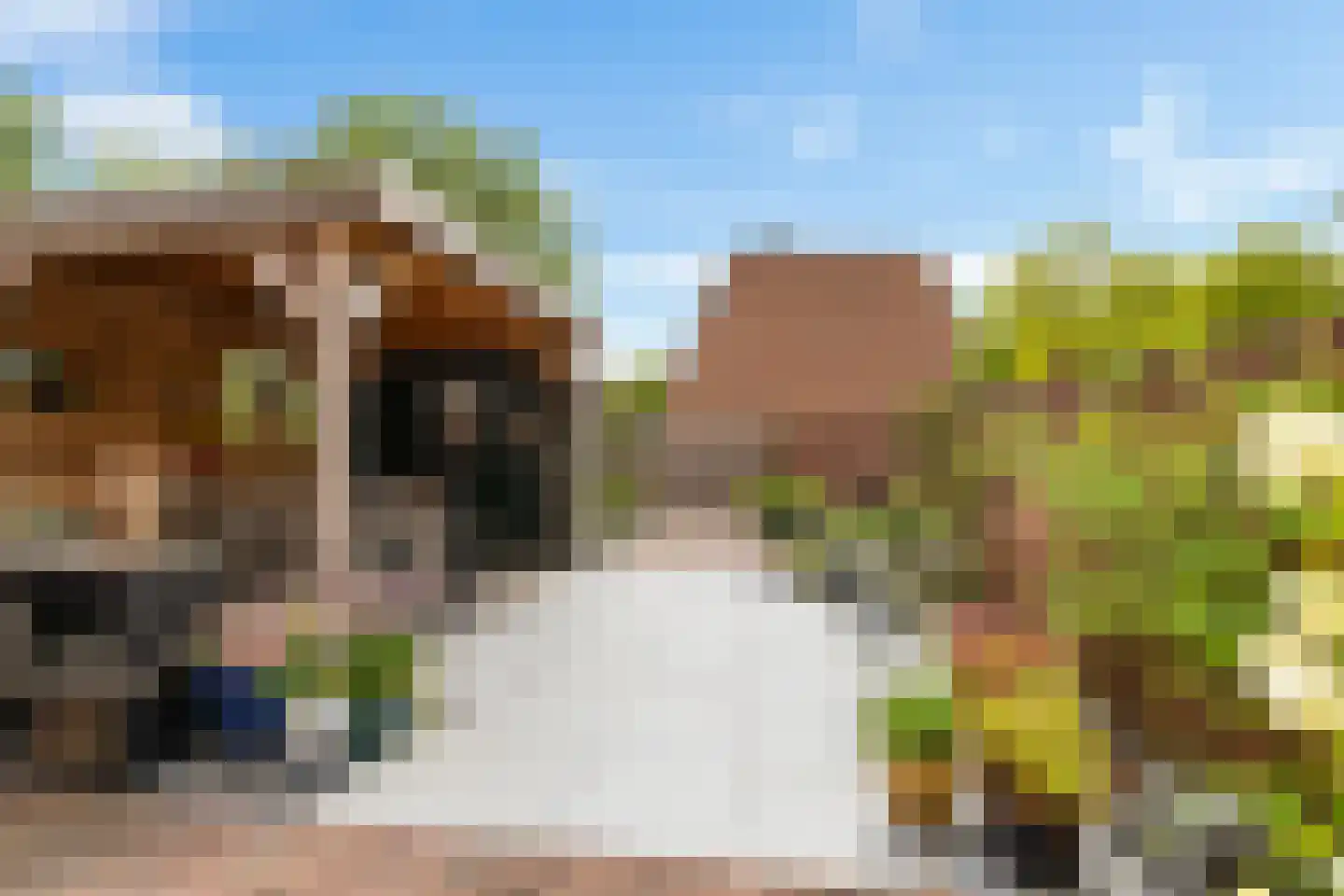 Onnemaheerd 145 Groningen thumbnail 4