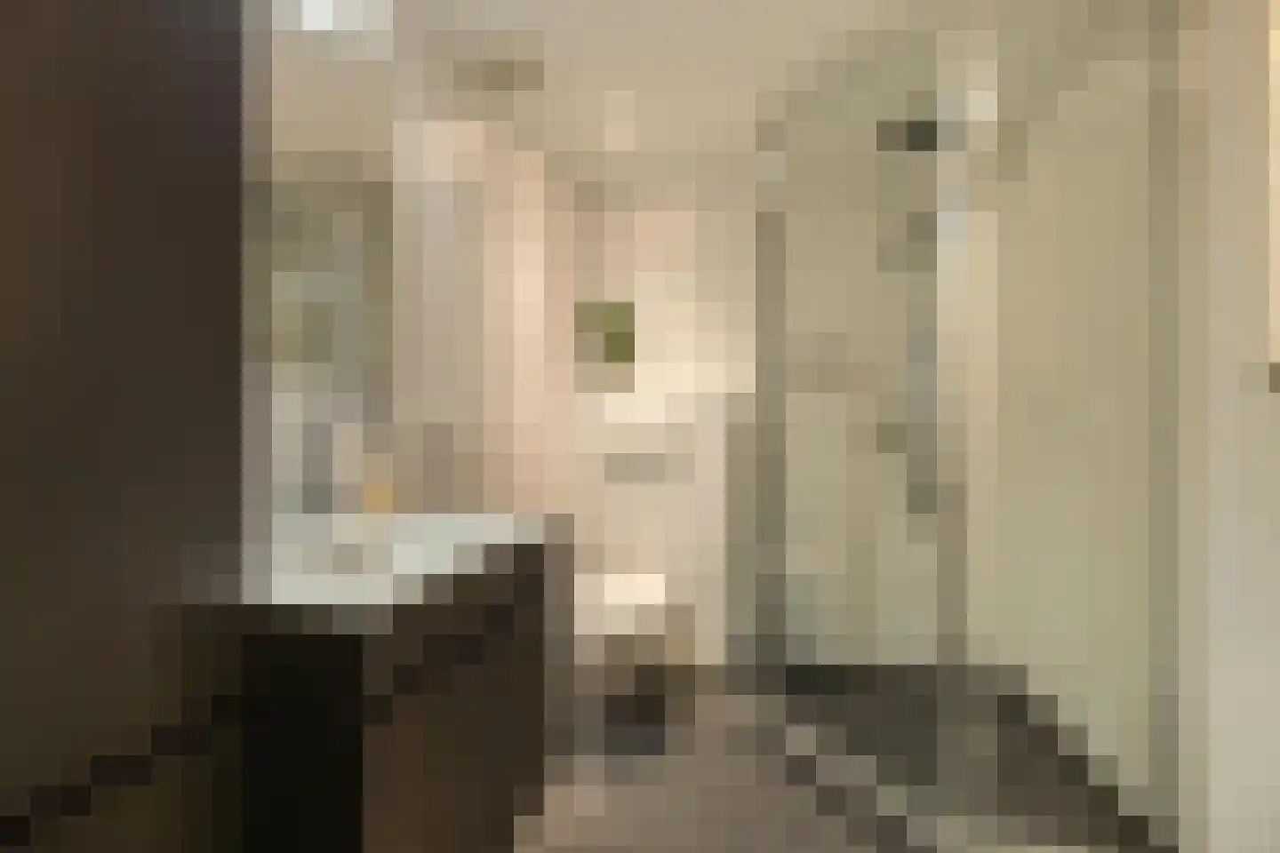 Onnemaheerd 145 Groningen thumbnail 42