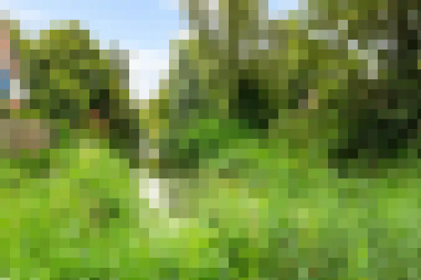 Onnemaheerd 145 Groningen thumbnail 47