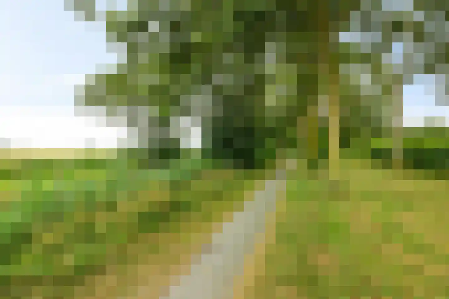 Onnemaheerd 145 Groningen thumbnail 49