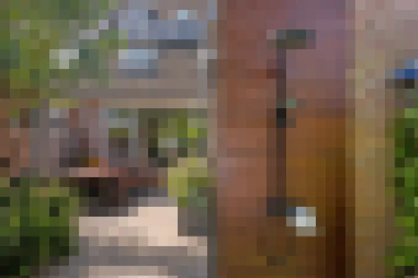 Onnemaheerd 47 Groningen thumbnail 33