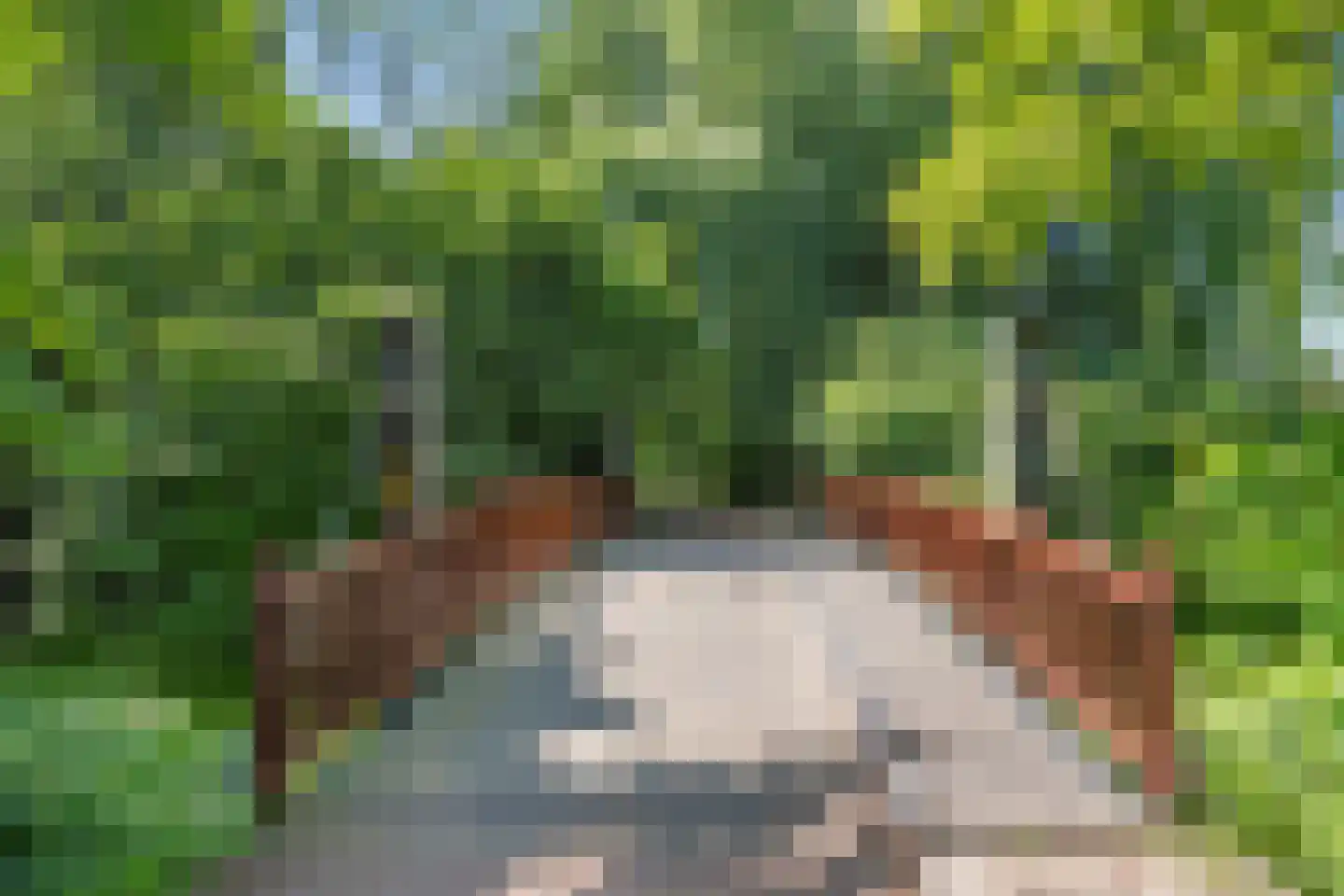 Onnemaheerd 47 Groningen thumbnail 36