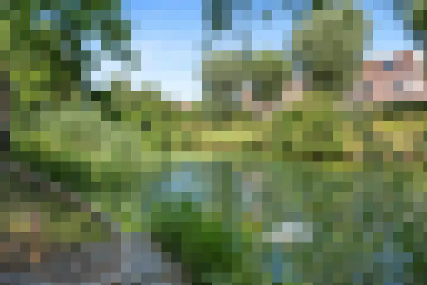 Onnemaheerd 47 Groningen thumbnail 40