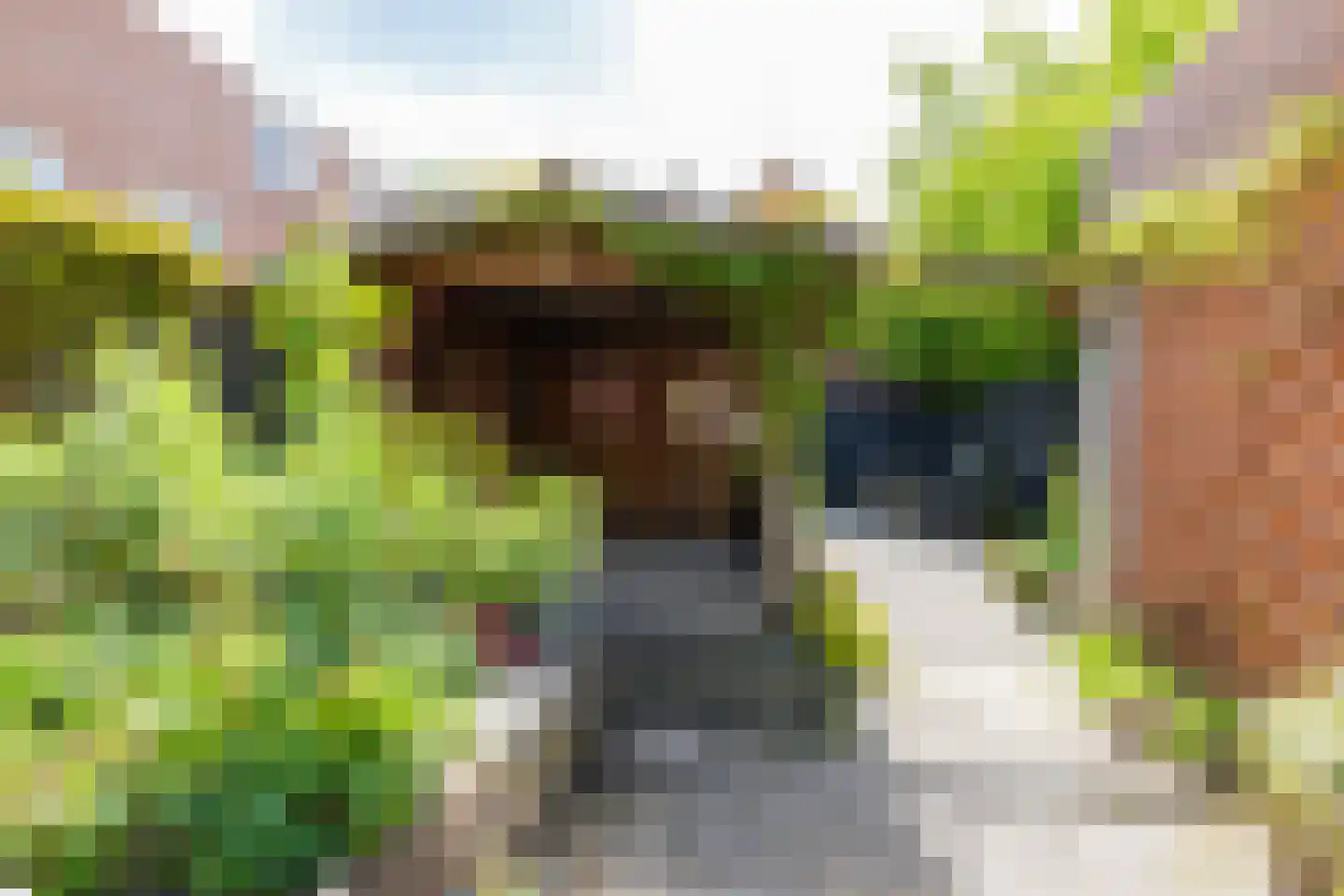 Onnemaheerd 58 Groningen thumbnail 37